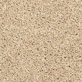 EverStrand|Vitalize I