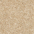 EverStrand|Vitalize I