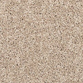 EverStrand|Vitalize I