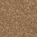 EverStrand|Vitalize I