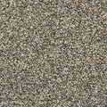 EverStrand|Vitalize I