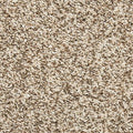 EverStrand|Vitalize I