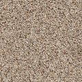 EverStrand|Vitalize I