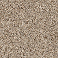 EverStrand|Vitalize II  Add to Favorites