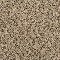 EverStrand|Renovate I  Add to Favorites