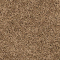EverStrand|Renovate I  Add to Favorites