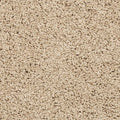 EverStrand|Renovate III  Add to Favorites