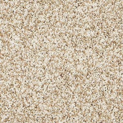 PetPremier|Diffurent Choice I  Add to Favorites