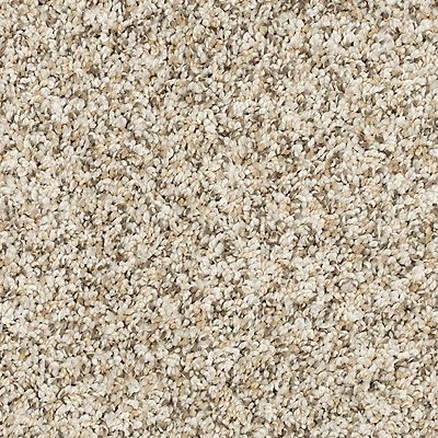 PetPremier|Diffurent Choice I  Add to Favorites