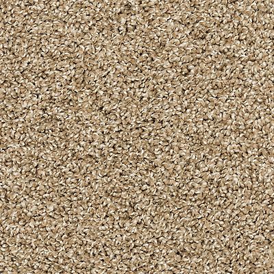 PetPremier|Diffurent Choice I  Add to Favorites