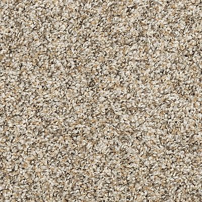 PetPremier|Diffurent Choice I  Add to Favorites