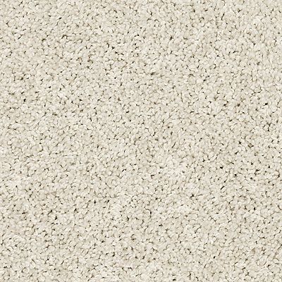 PetPremier|Diffurent Choice I  Add to Favorites