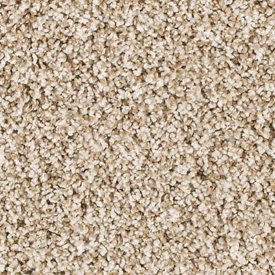 PetPremier|Diffurent Choice II  Add to Favorites