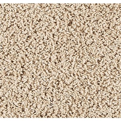 PetPremier|Diffurent Choice II  Add to Favorites