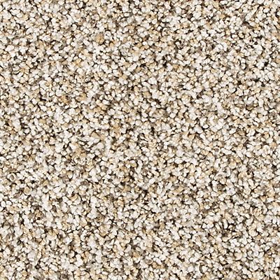 PetPremier|Diffurent Choice II  Add to Favorites