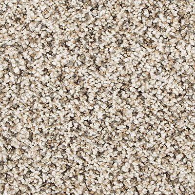 PetPremier|Diffurent Choice II  Add to Favorites