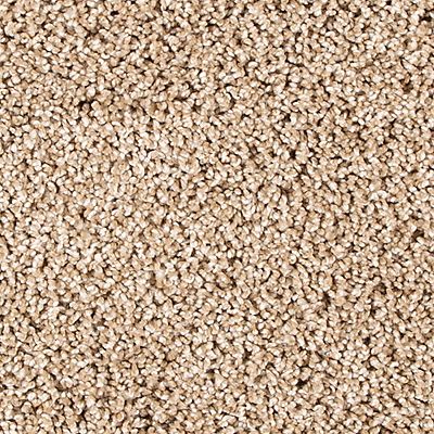 PetPremier|Diffurent Choice II  Add to Favorites