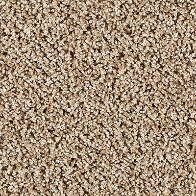 PetPremier|Diffurent Choice II  Add to Favorites