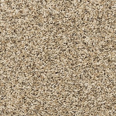 PetPremier|Diffurent Choice II  Add to Favorites