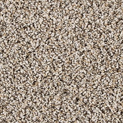 PetPremier|Diffurent Choice II  Add to Favorites