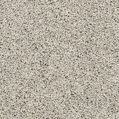 PetPremier|Diffurent Choice II  Add to Favorites