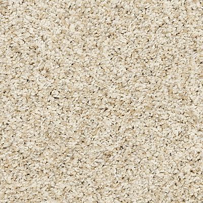 PetPremier|Diffurent Choice II  Add to Favorites