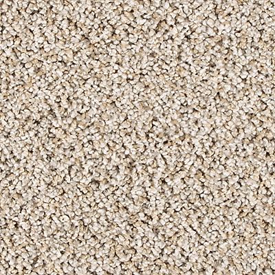 PetPremier|Diffurent Choice II  Add to Favorites