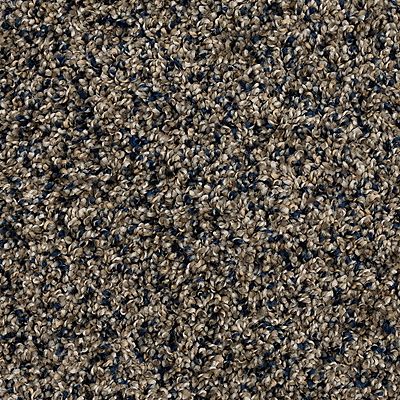 PetPremier|Diffurent Choice III