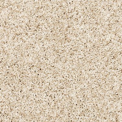 PetPremier|Diffurent Choice III  Add to Favorites