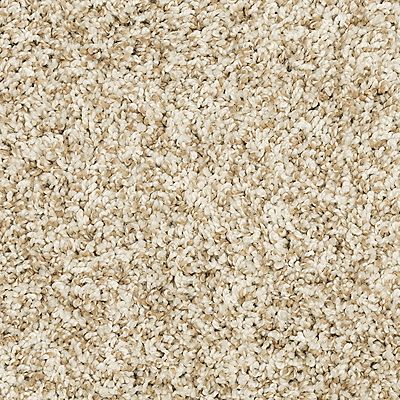 PetPremier|Diffurent Choice III  Add to Favorites