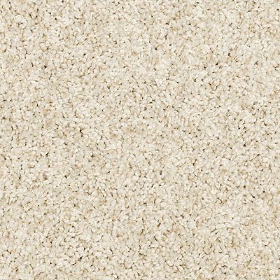 PetPremier|Diffurent Choice III  Add to Favorites