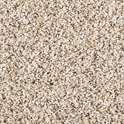 PetPremier|Diffurent Choice III  Add to Favorites