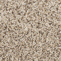 PetPremier|Diffurent Choice III
