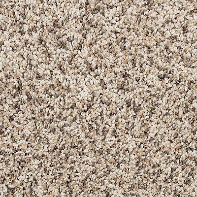 PetPremier|Diffurent Choice III