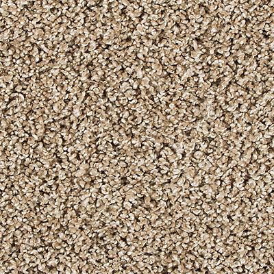 PetPremier|Diffurent Choice III  Add to Favorites