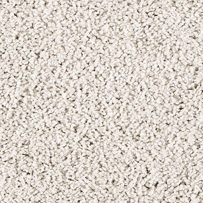 PetPremier|Diffurent Choice III  Add to Favorites