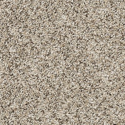 PetPremier|Diffurent Choice III