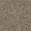 PetPremier|Diffurent Choice III
