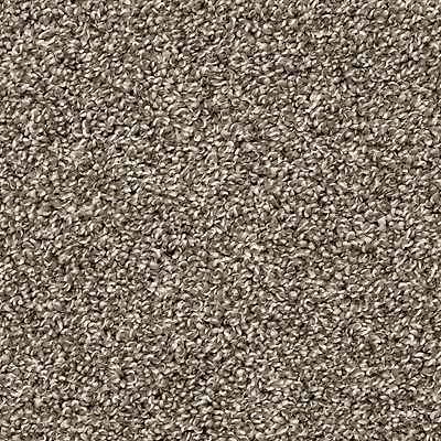 PetPremier|Diffurent Choice III