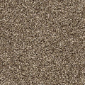 PetPremier|Diffurent Choice III