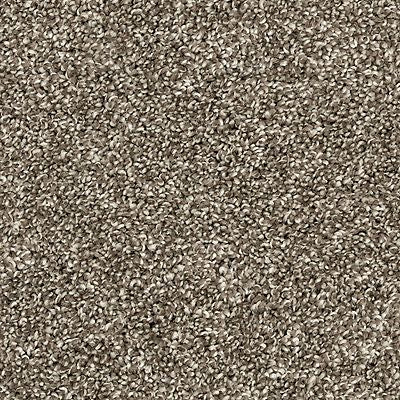 PetPremier|Claws And Effect II  Add to Favorites