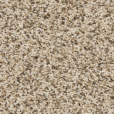 PetPremier|Purrsonality I  Add to Favorites