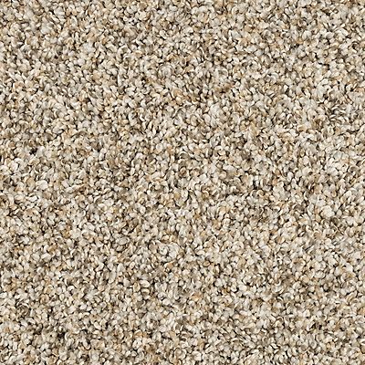 PetPremier|Purrsonality I  Add to Favorites