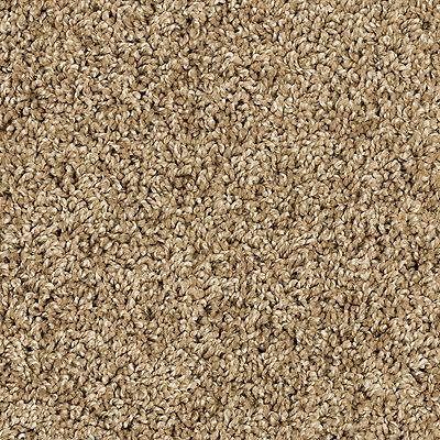 PetPremier|Purrsonality II  Add to Favorites