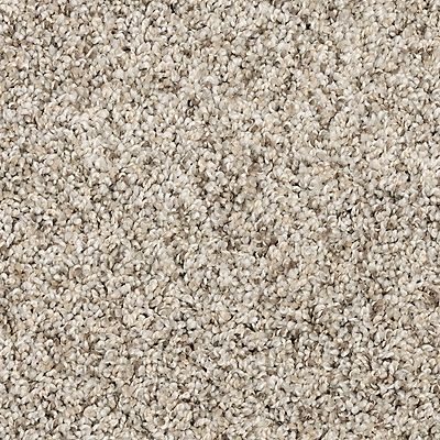 PetPremier|Purrsonality II  Add to Favorites