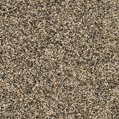 PetPremier|Purrsonality III  Add to Favorites