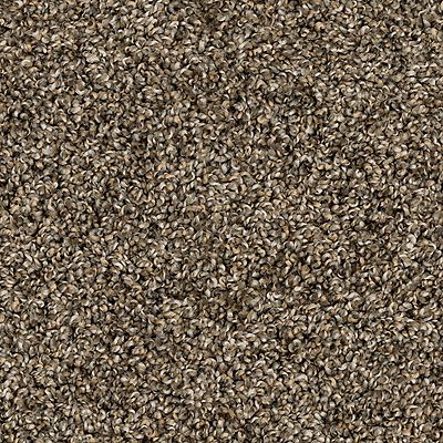 PetPremier|Purrsonality III  Add to Favorites