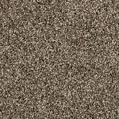 PetPremier|Purrsonality III  Add to Favorites