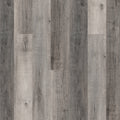 NEW STANDARD PLUS