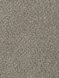 SP250
